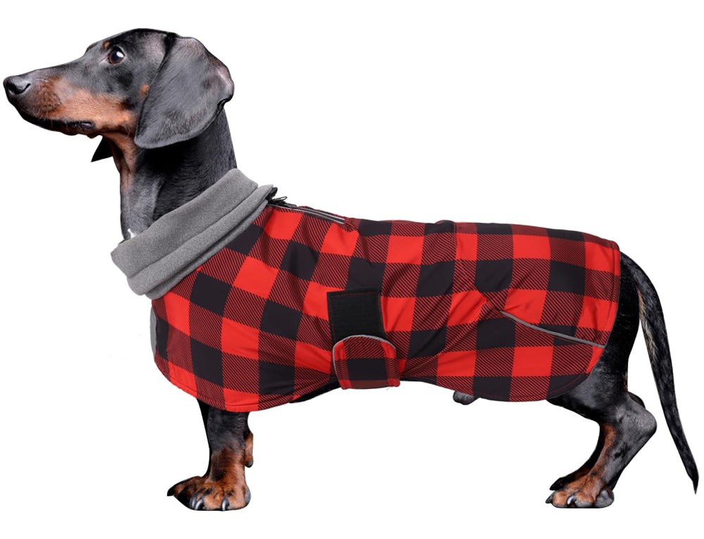 Morezi capa impermeable para perro salchicha, vista frontal, ideal para paseos en lluvia