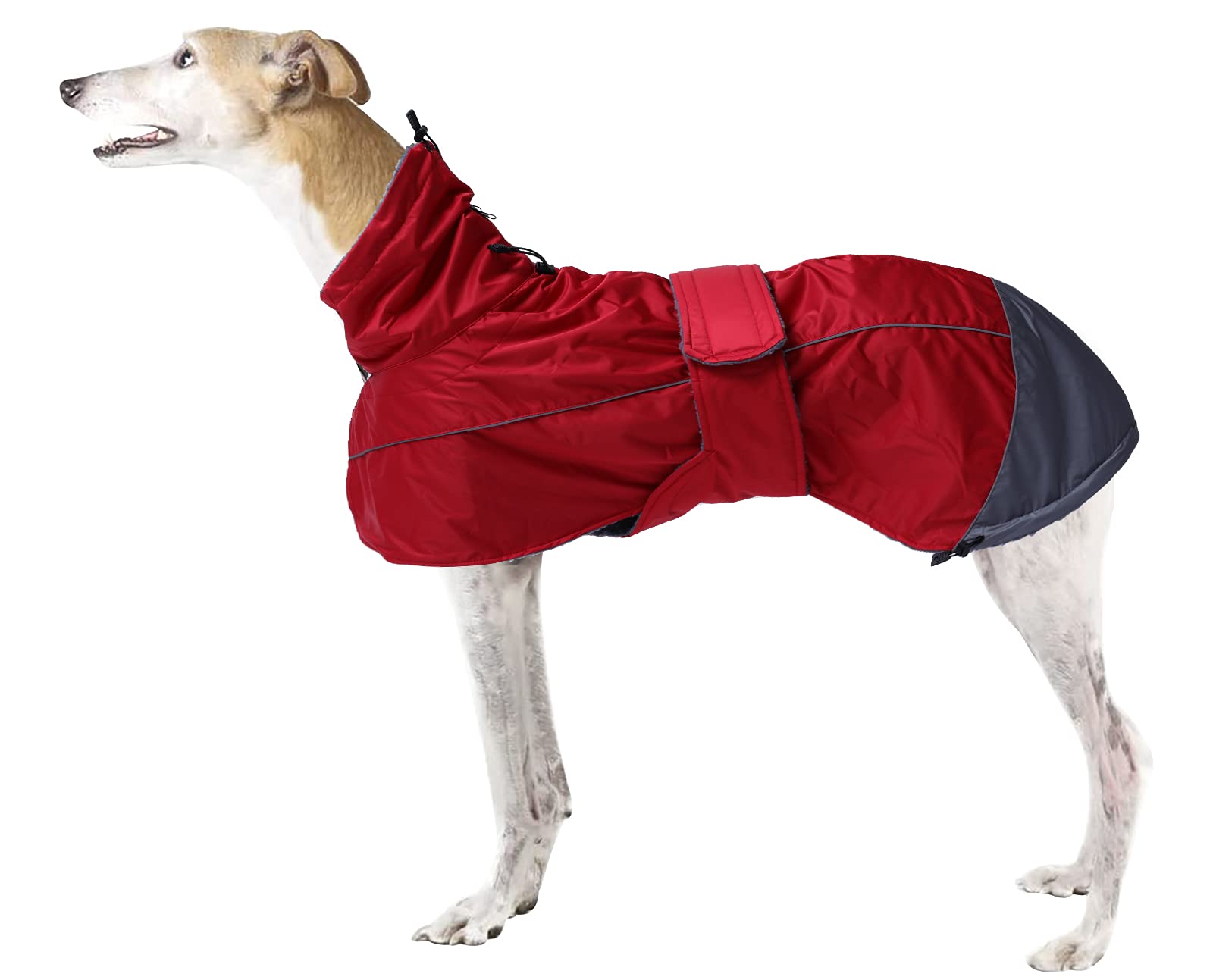 Morezi capa de invierno para Greyhound: protección ligera contra el viento.