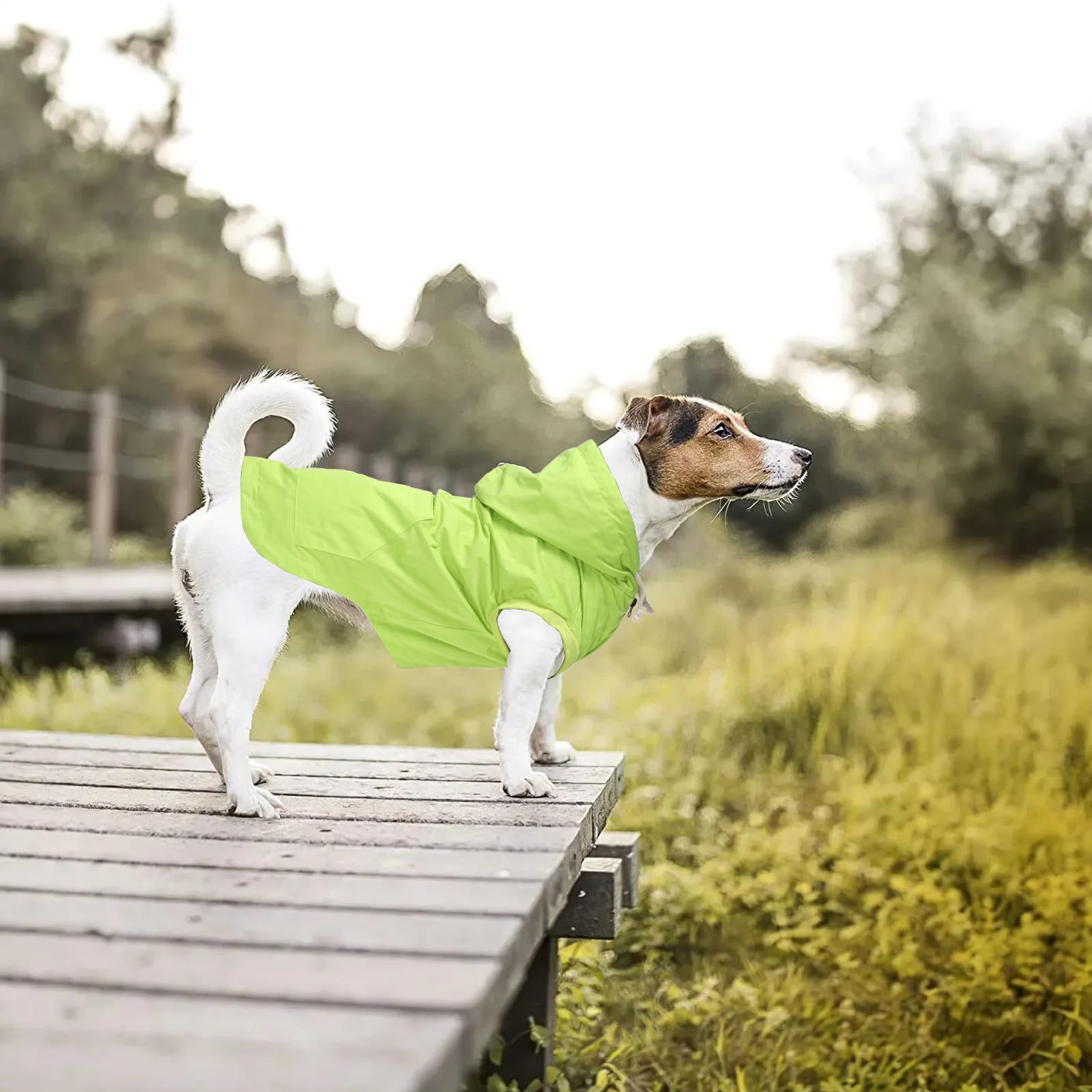 Morezi chubasquera para perros, talla XL, adecuada para razas pequeñas y medianas.