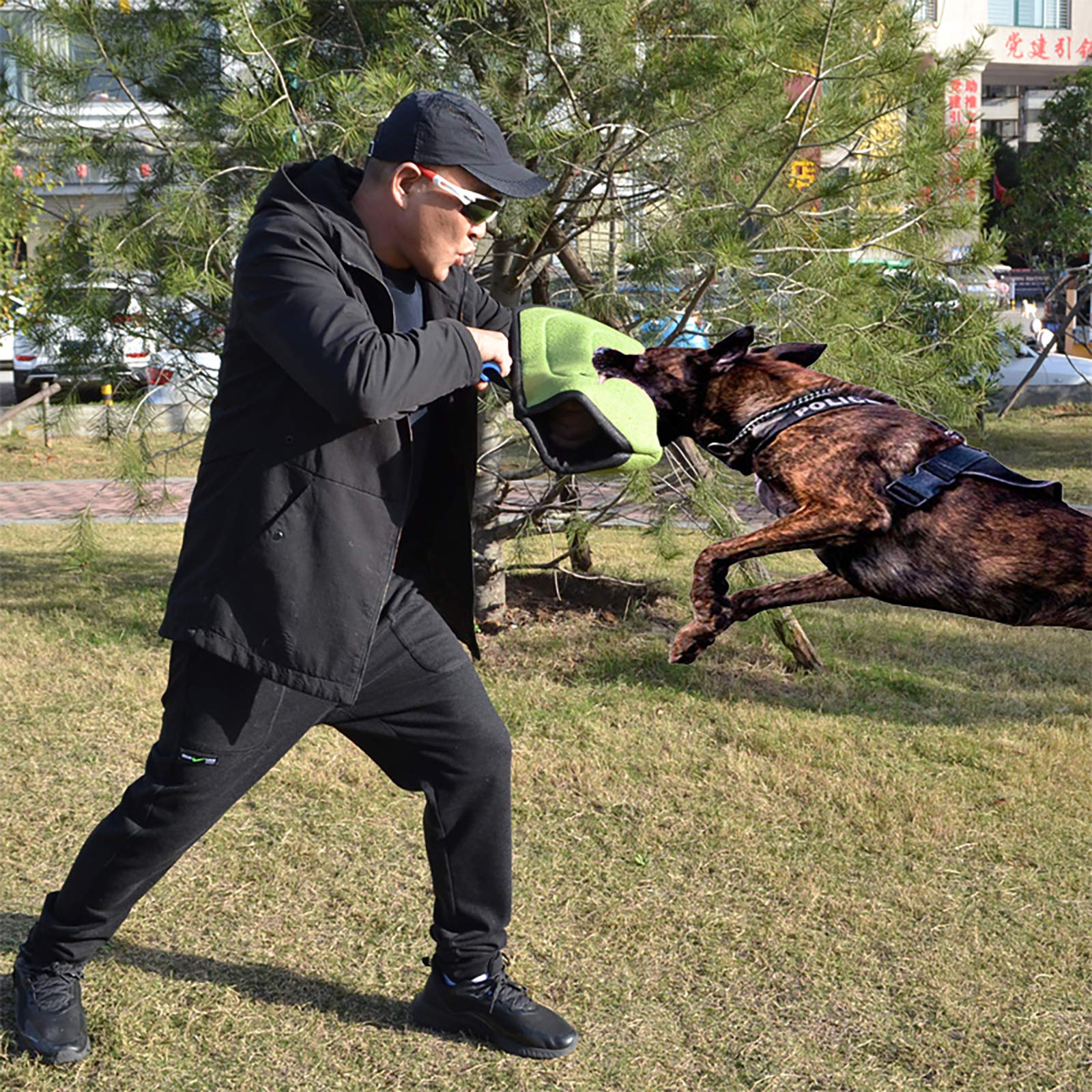 Morezi diseño para perros jóvenes, ideal para introducción suave al entrenamiento.
