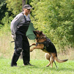 Morezi palo-entrenamiento-perros-1: herramienta fiable para ejercicios de obediencia y estímulo.