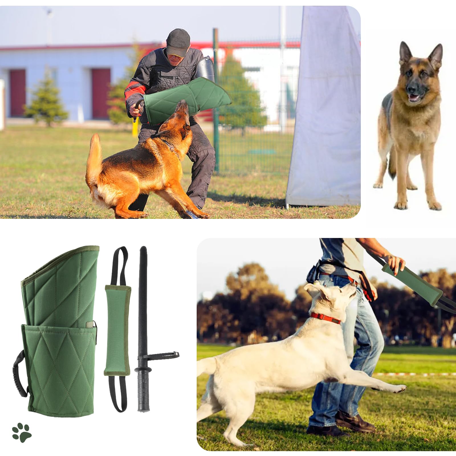 Morezi talla-ajuste-entrenamiento: tamaño adecuado para perros grandes y jóvenes en crecimiento.
