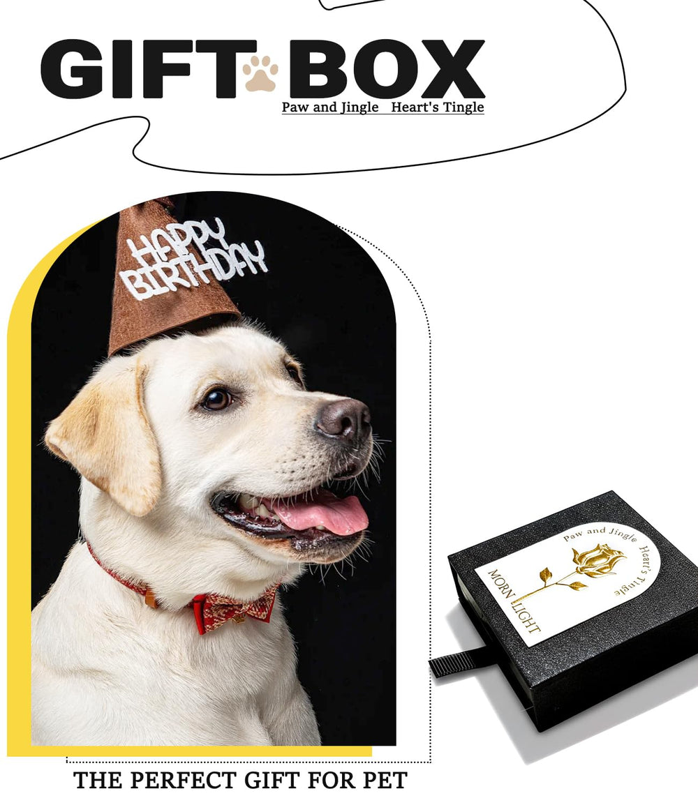 Morn Light uso diario, cascabel apto para perros y gatos pequeños