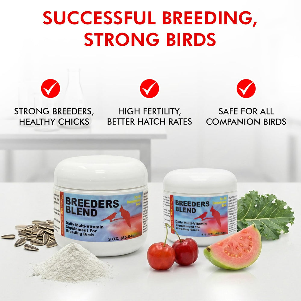 Morning Bird desarrollo muscular saludable en aves jóvenes