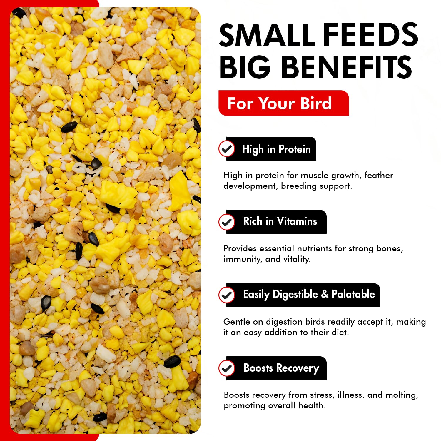 Aminoácidos esenciales en Morning Bird Eggfood para funciones metabólicas y musculatura.