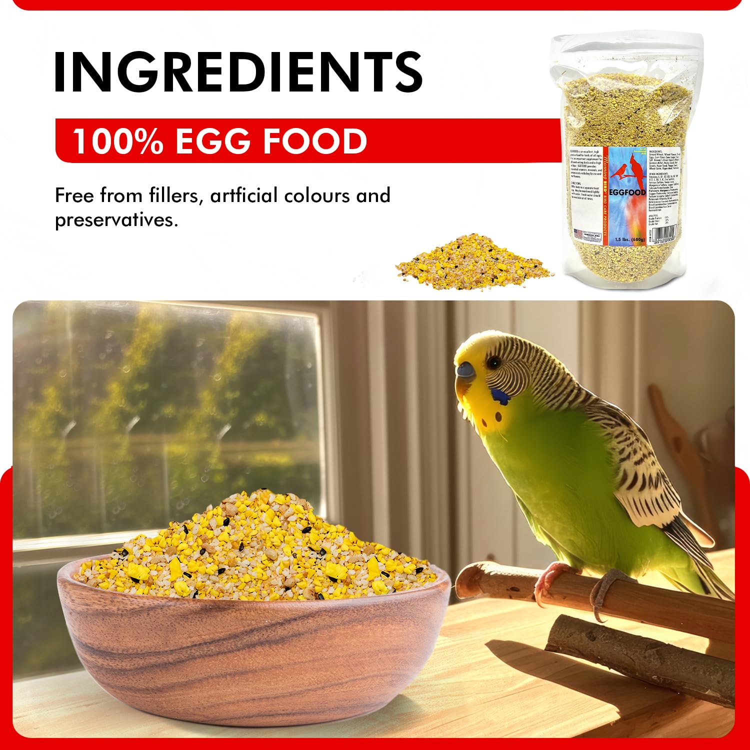 Fuente de proteína Morning Bird Eggfood para desarrollo y plumaje saludable.