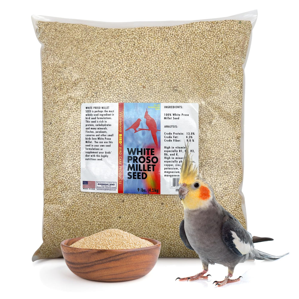 Morning Bird Mijo Blanco Proso: bolsa de 9 libras para aves.