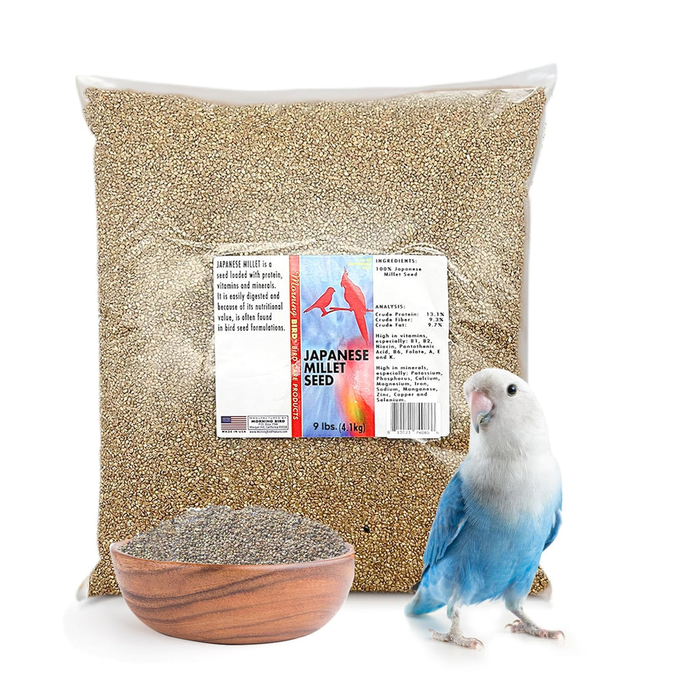Morning Bird mijo japonés en bolsa de 9 libras, ideal para aves pequeñas y promueve energía diaria.