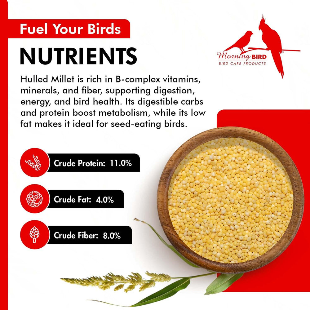 Envase reutilizable Morning Bird, mantiene la frescura y reduce residuos