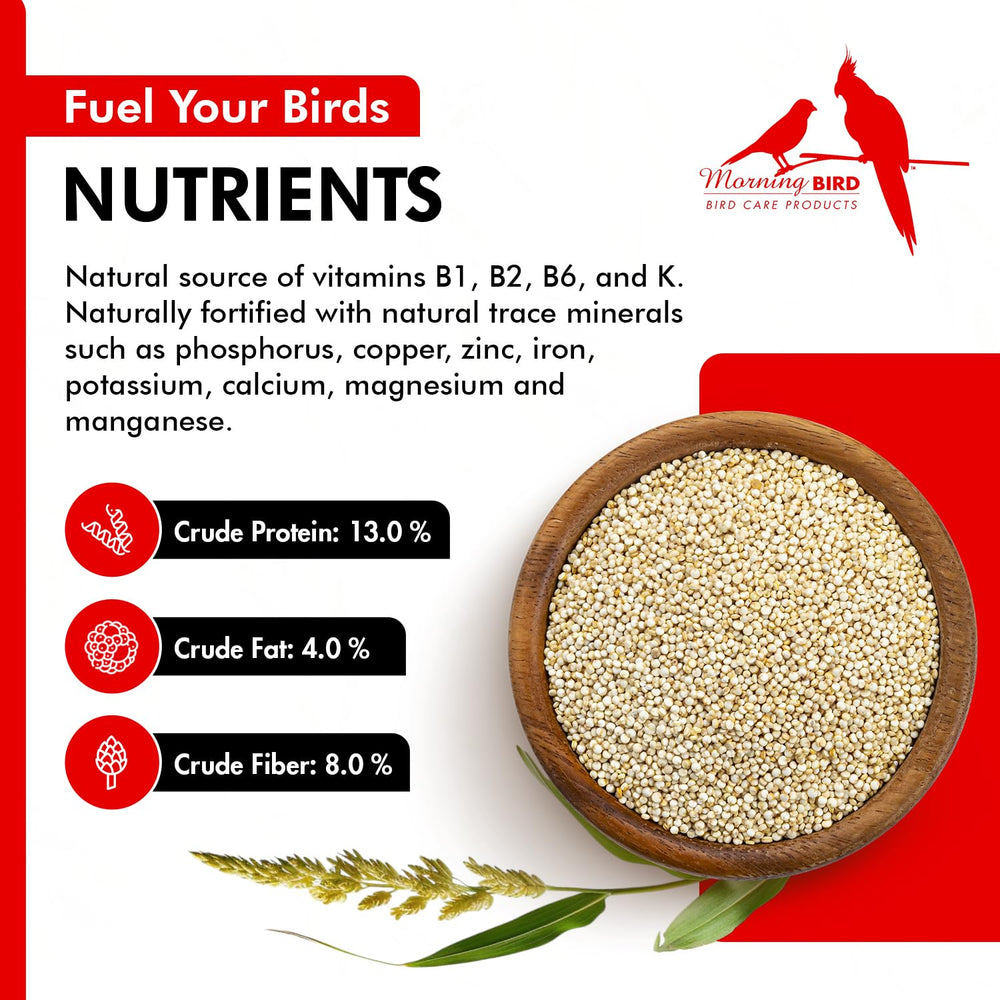 Nutrientes clave: vitaminas y minerales para aves.