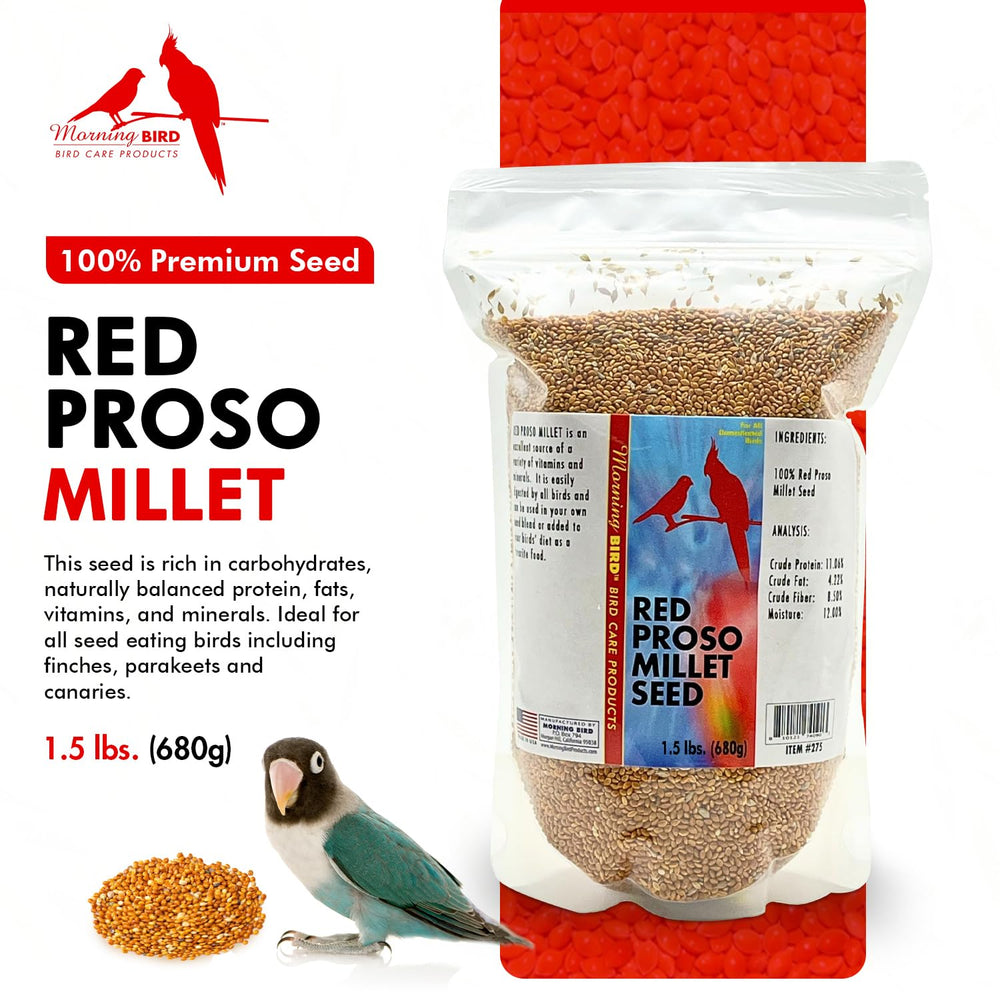 Grano rojo de Morning Bird Red Proso Millet, crujiente y energizante para aves