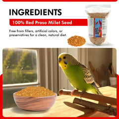 Textura crujiente de Morning Bird Red Proso Millet para enriquecer comidas de aves
