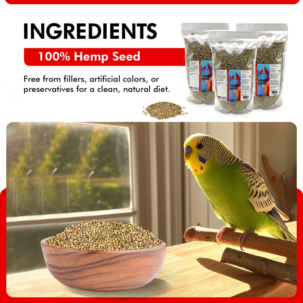 Morning Bird semillas de cáñamo, fuente de proteína y grasas saludables para plumas sanas.