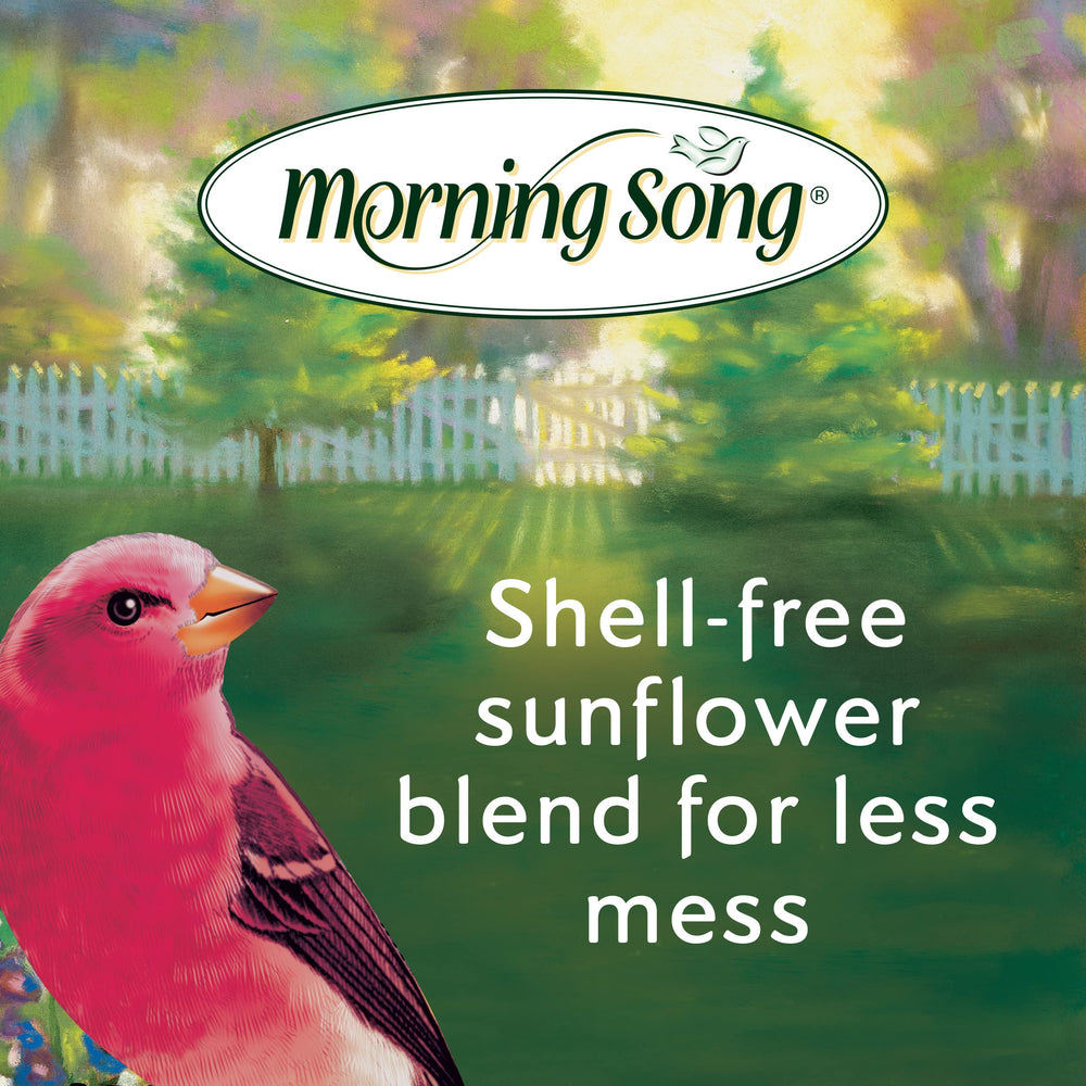Morning Song semilla-de-canario, crujiente y apetecible para aves.