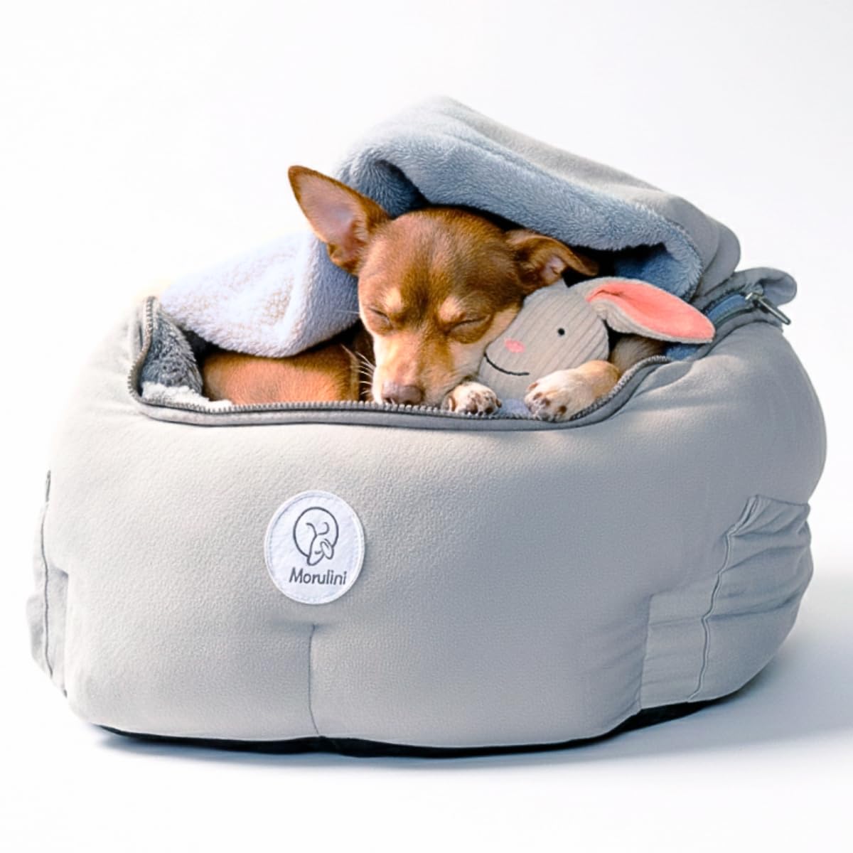 MORULINI asiento ortopédico para perros pequeños ofrece apoyo estable en conducción