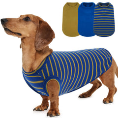 Morvigive suéter azul rayas para perro, cómodo para paseos invernales.