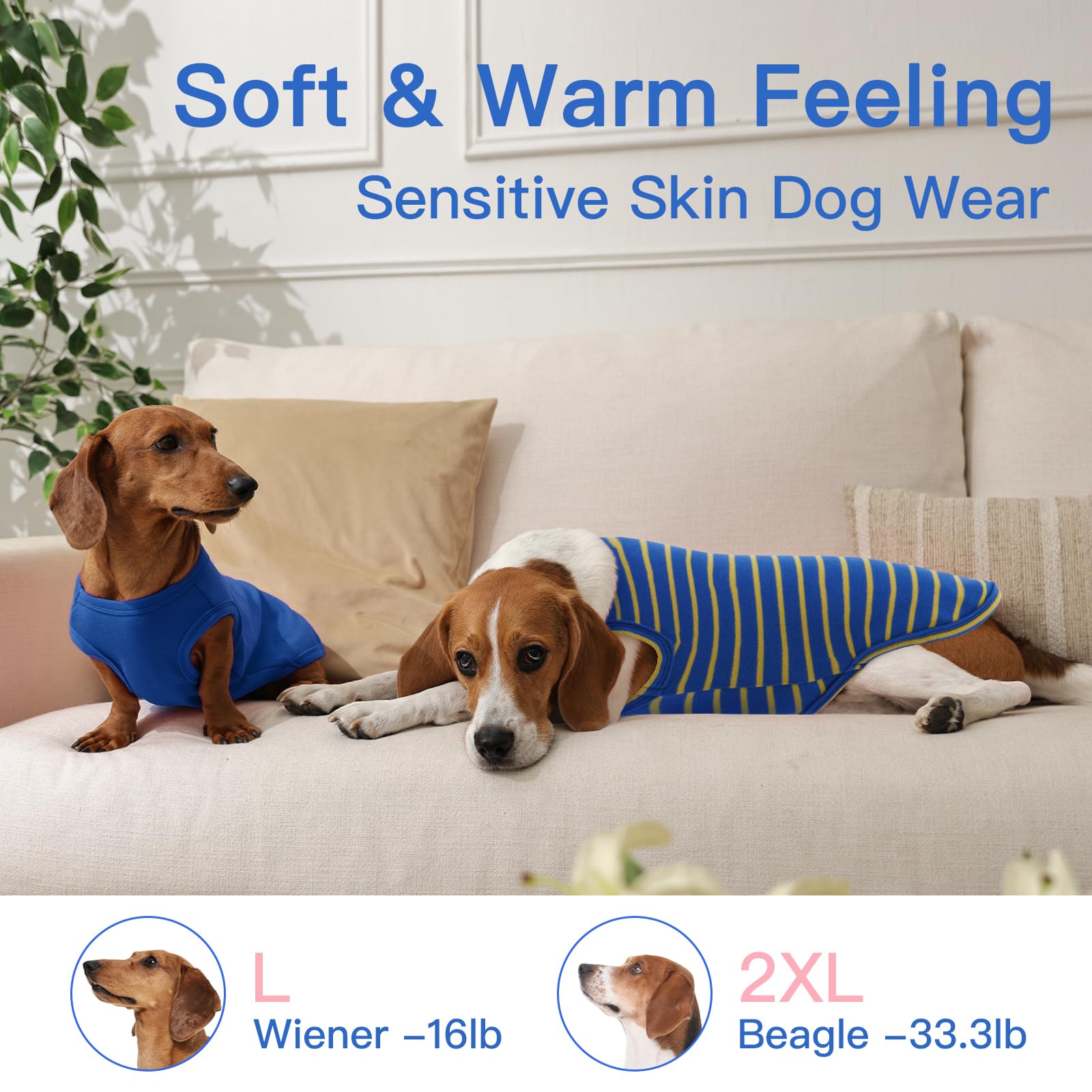 Morvigive suéter ligero para perro, ideal para paseos en climas fríos.