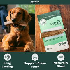 Mountain Valley Antlers: cuerno sin olor para uso en interiores