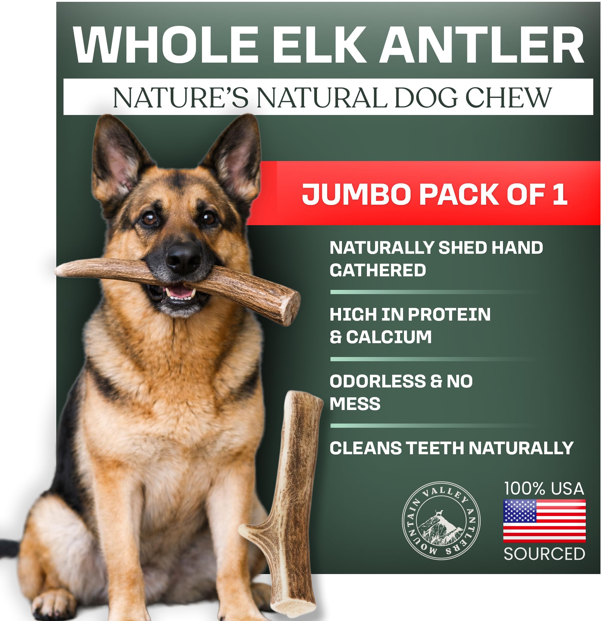 Mountain Valley Antlers presenta cuerno de alce entero jumbo para perros masticadores grandes.