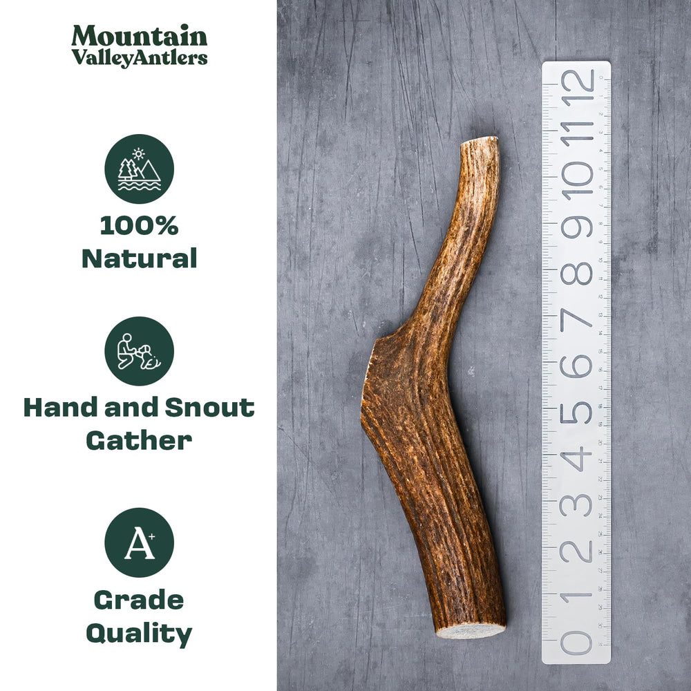 Mountain Valley Antlers sin olor para un espacio limpio y agradable.