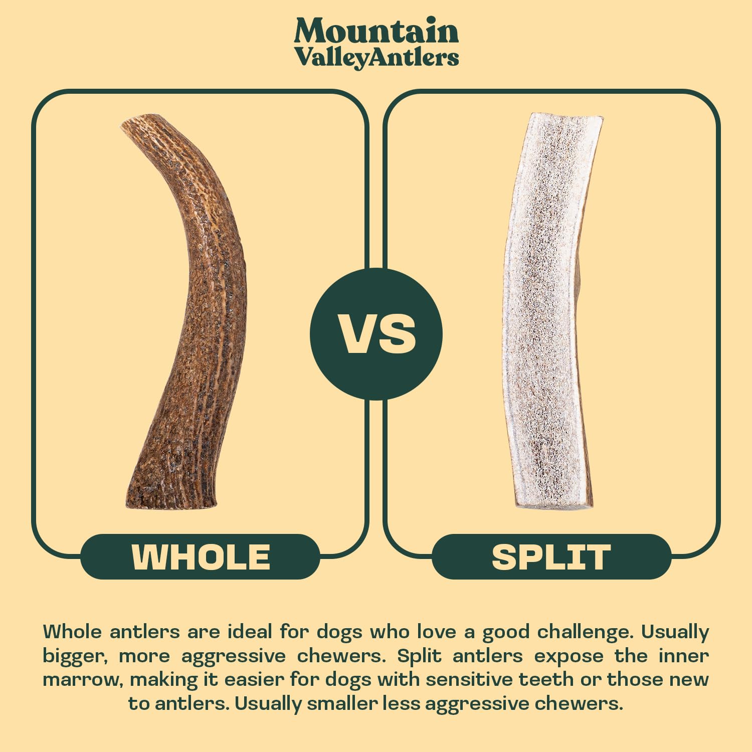 Mountain Valley Antlers textura dura que favorece masticación prolongada.