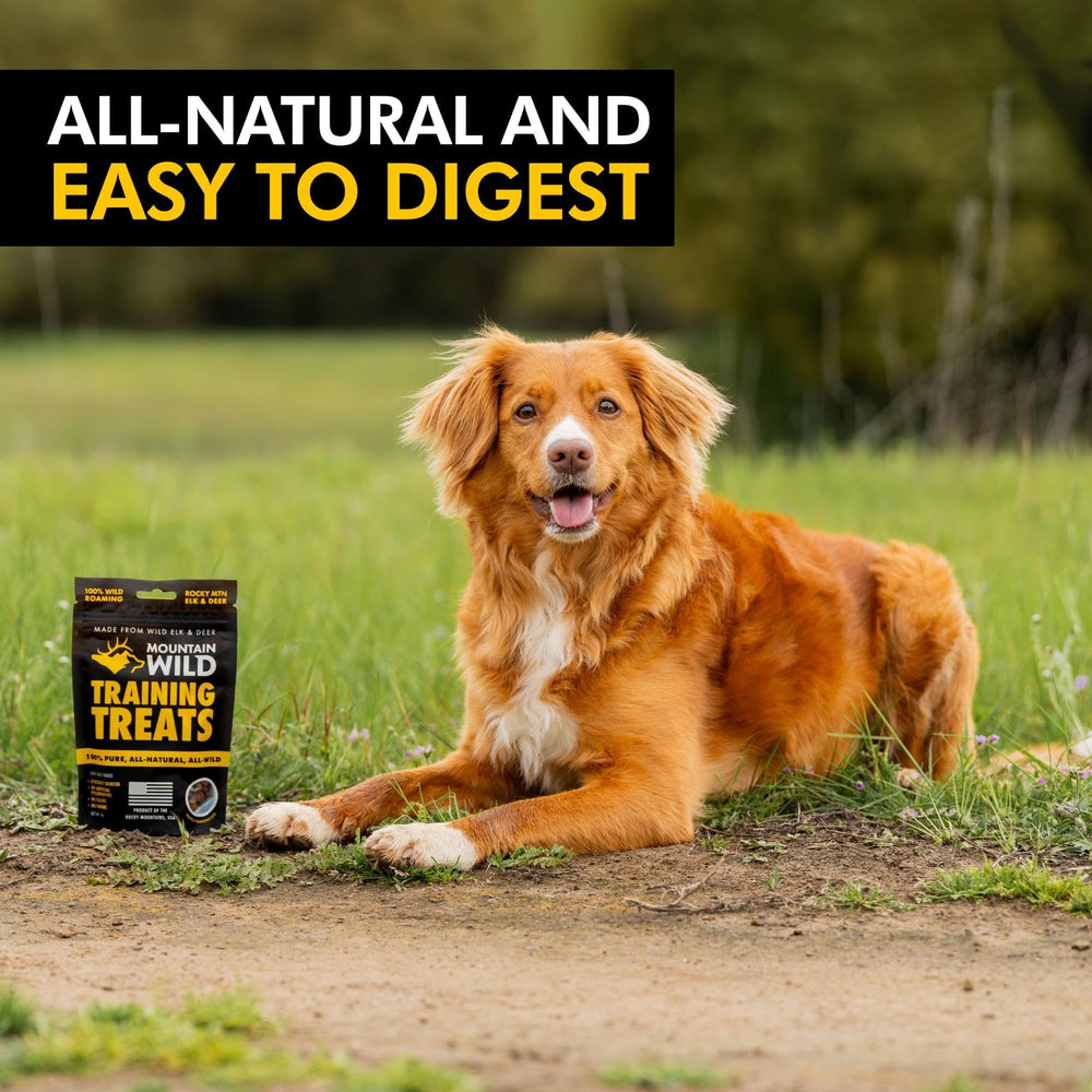 MOUNTAIN WILD apto-para-todo-tamano perros y cachorros como premio