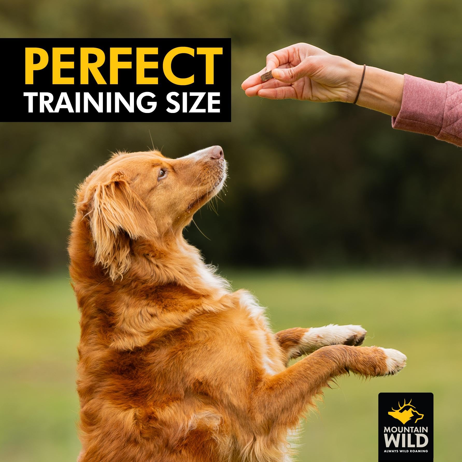 MOUNTAIN WILD ingredientes de alce y ciervo para perros saludables.