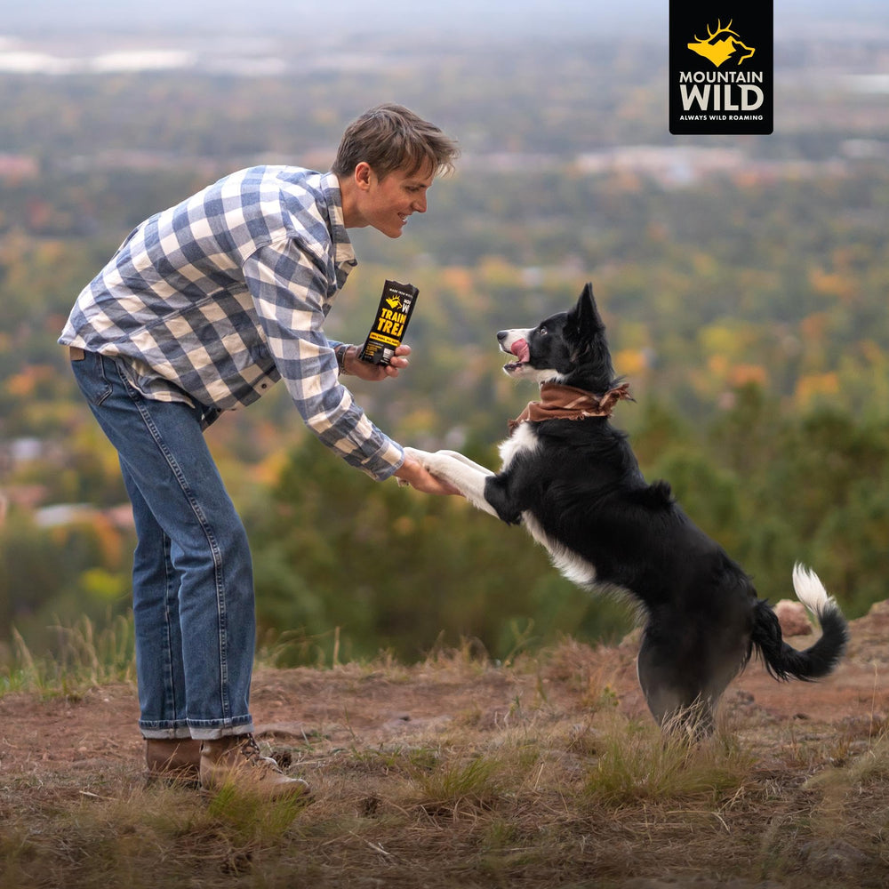MOUNTAIN WILD usage quotidien, adapté pour chiots et chiens.
