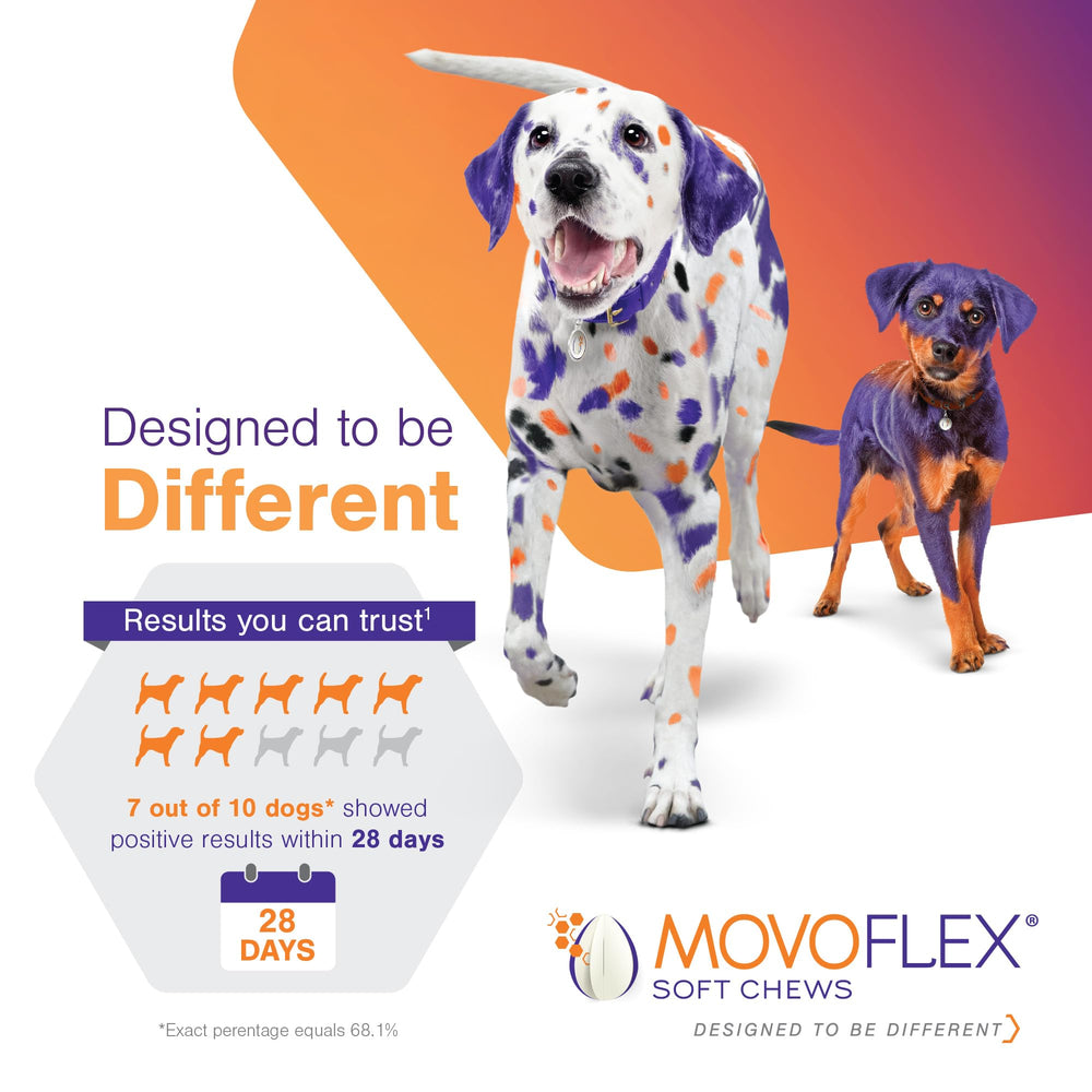 MOVOFLEX dosis diaria sencilla, sin carga inicial.