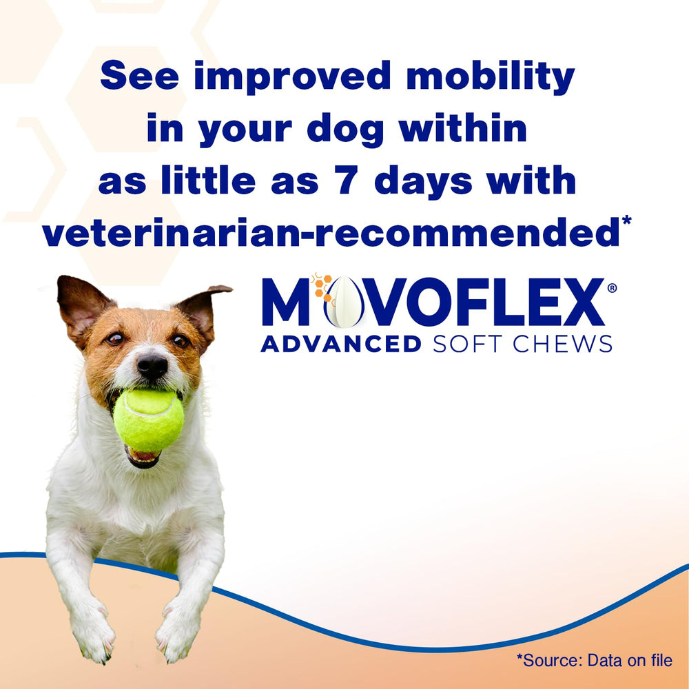Movoflex frascos de 60 unidades para cuatro meses