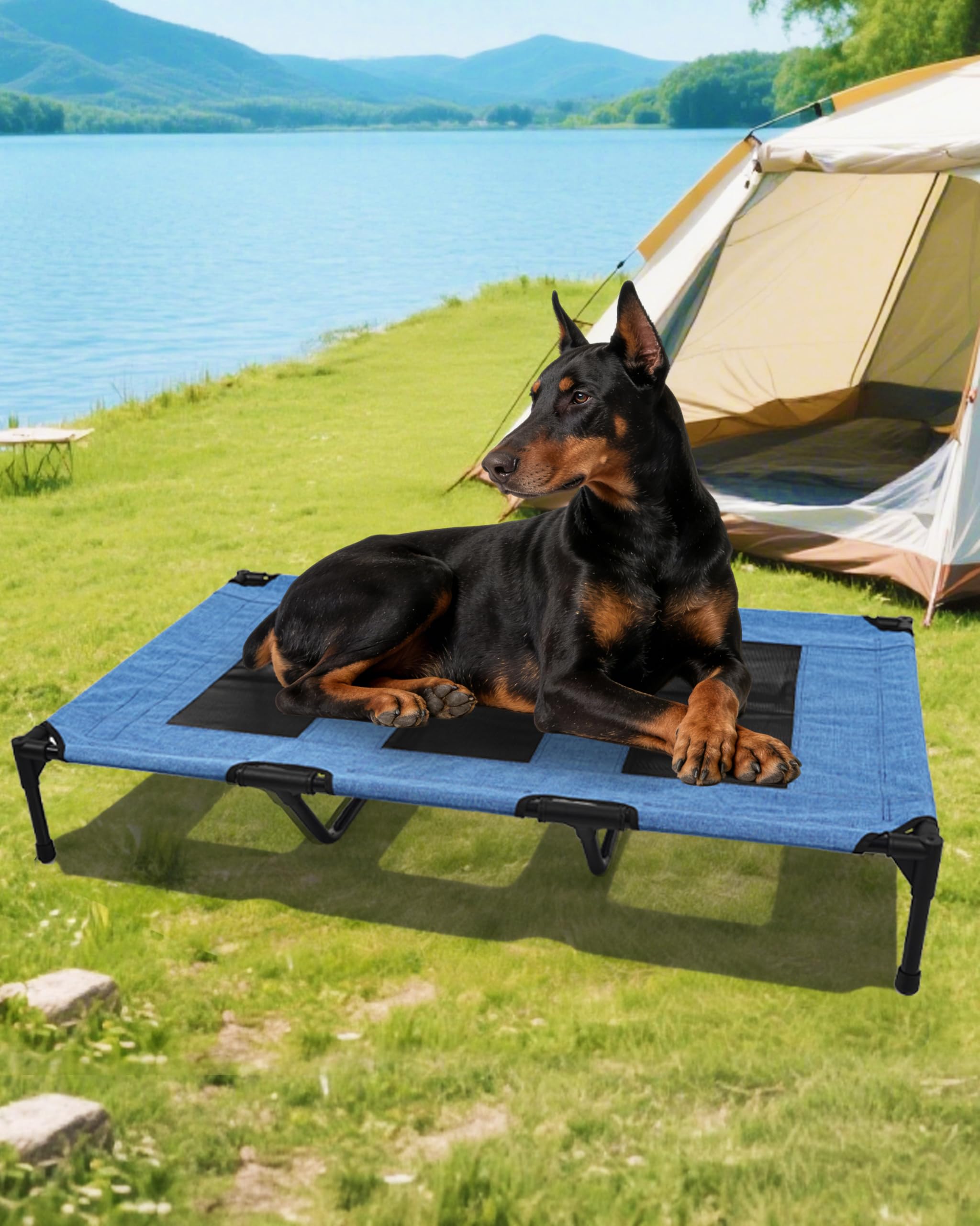 Moysoon cama para perro con estructura de acero estable y elevada.