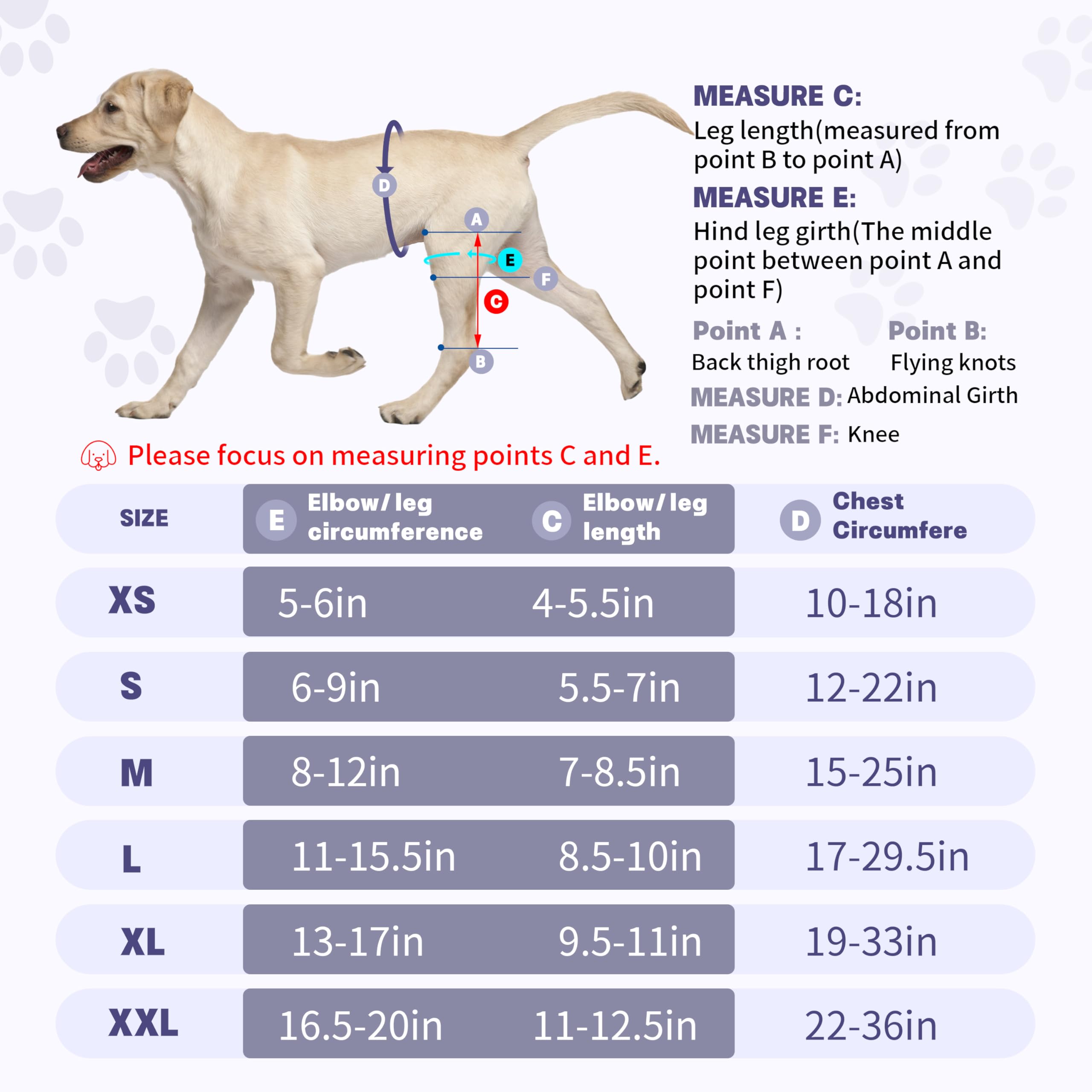 Rodillera Moysoon para uso diario y ejercicio suave en perros.