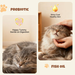 Mpets Ocean Fresh Sabores reales de atún-pollo: aroma natural que atrae al felino.