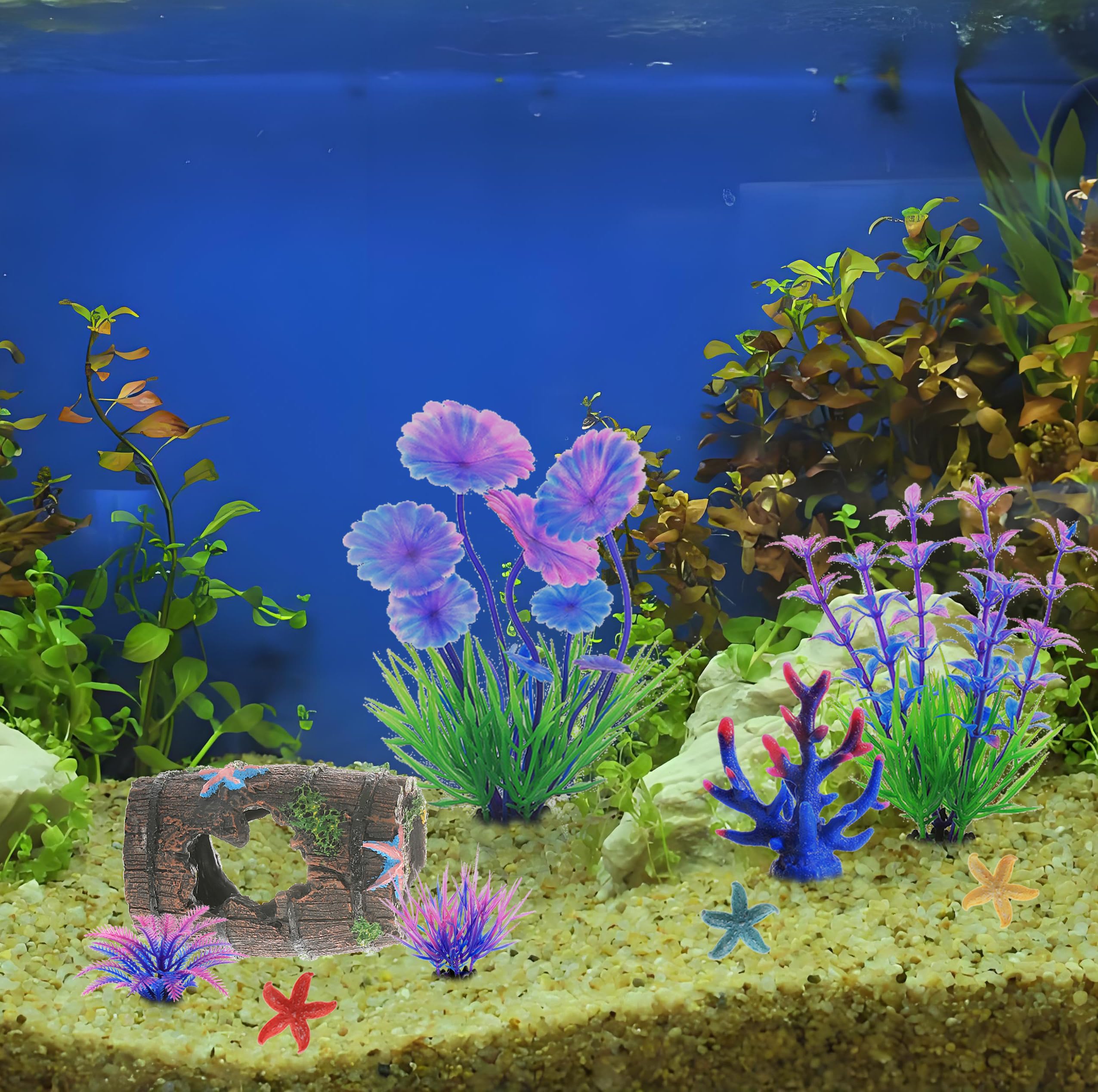 MQACPUPY decoraciones tamaño medio y pequeño ideal para tanques variados.