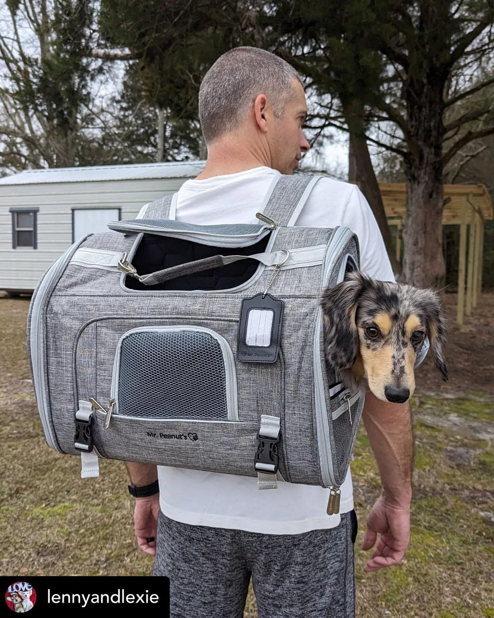 Mr. Peanut's Monterey Series: accesorios de seguridad para perro y viajes sin complicaciones.