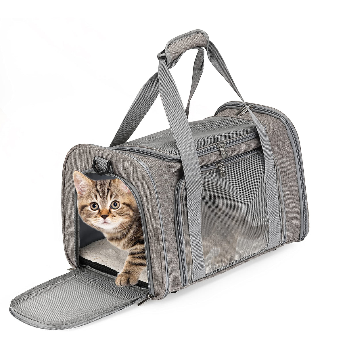 Mr. Pen transportadora para mascotas, medidas 17-5x11-2x11-5.