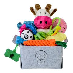 Mrsohret juguetes para cachorros, set dental para morder