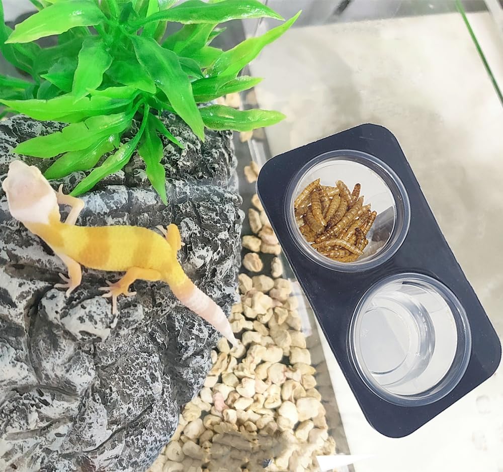MRTIOO diseño resistente de acrílico para terrario.