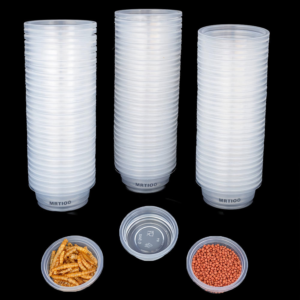 Copa MRTIOO para alimento y agua de geco crestado, vista clara para observar la comida.