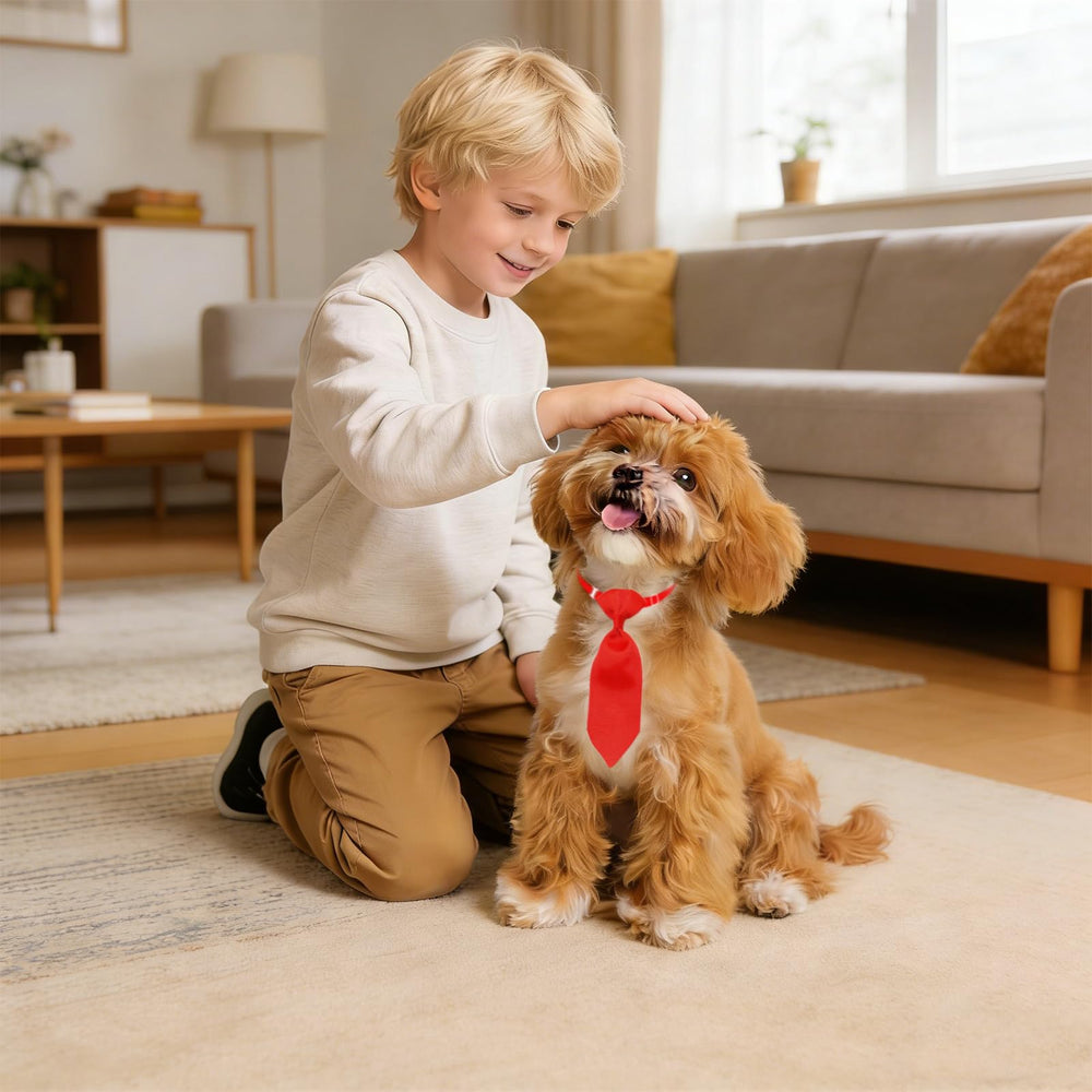 Lazo para sesiones fotográficas de Mruq Pet, color brillante para mascotas.