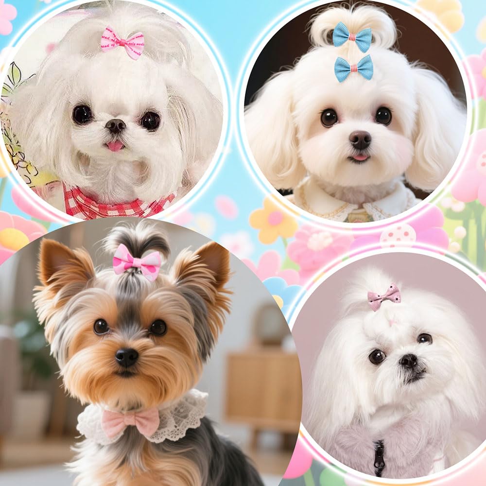 Colores brillantes para combinar con cualquier atuendo canino.