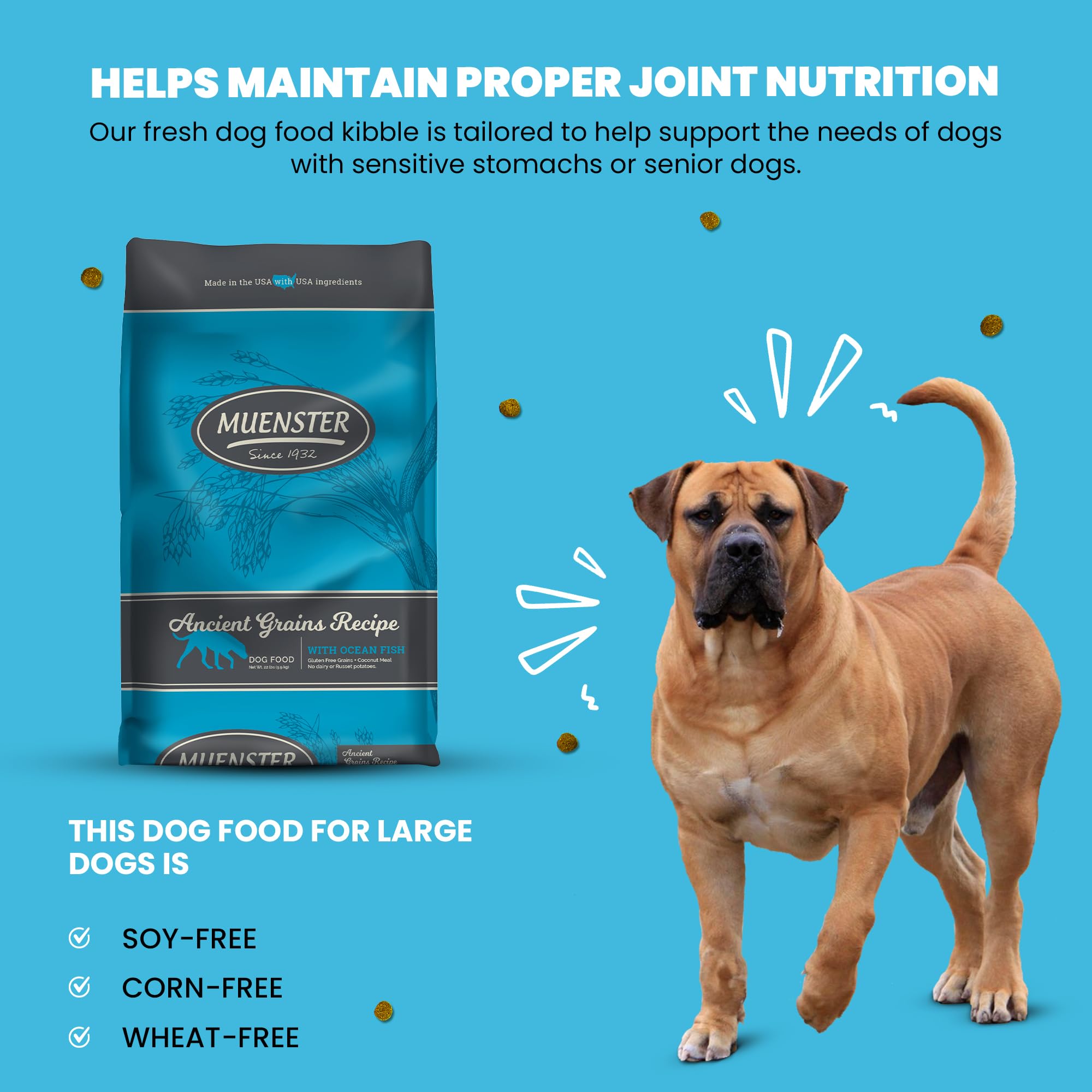 Muenster alimento seco para perros, apoyo articular y energía para vida activa.