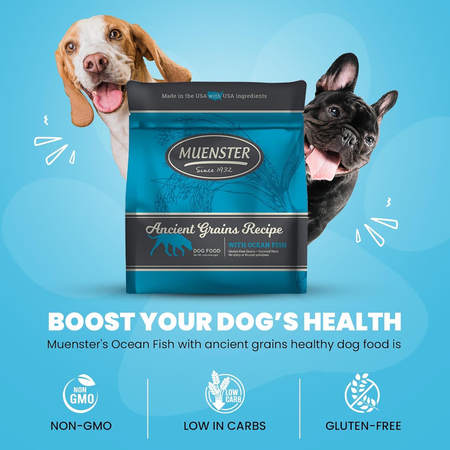 Muenster uso diario para perros activos, una nutrición estable.