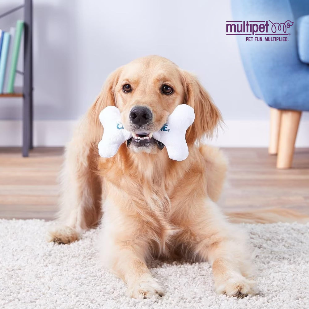 Multipet Chilly Bone: uso diario para entretenimiento y alivio simple