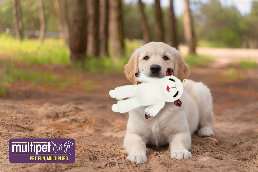 Multipet Lambchop licenciado: producto oficial que garantiza calidad y autenticidad