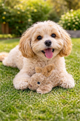Multipet Thumperz juguete para perro mediano con sonido.