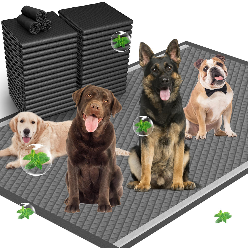 Munoci almohadillas para orina con carbono activado absorben olores