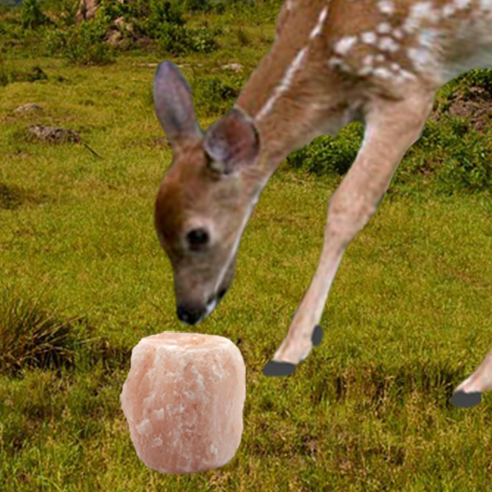 MUYG sal Himalaya: color rosado natural que sugiere pureza y origen en las montañas.
