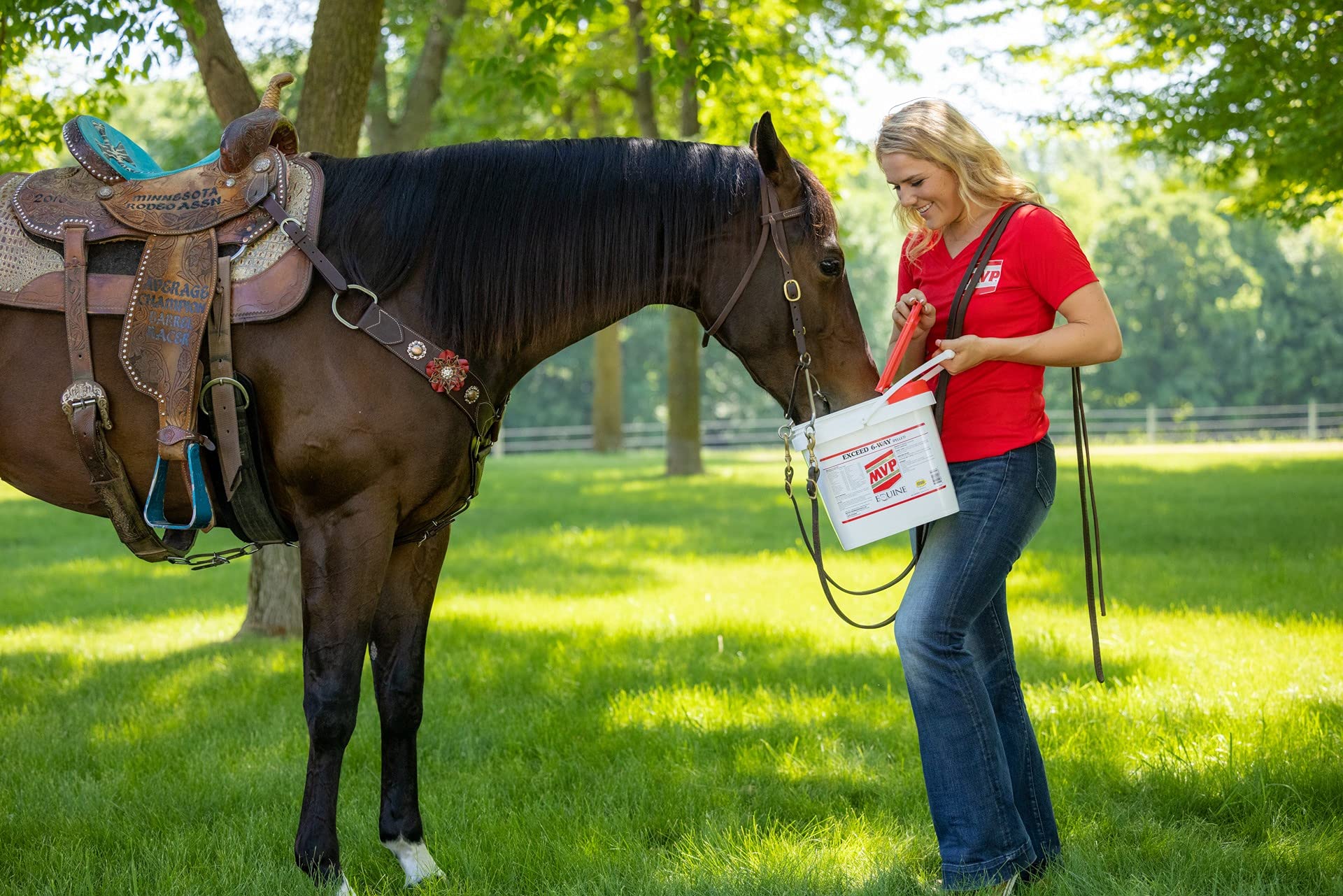 Salud digestiva con MVP Exceed Seis-Vías: confort estomacal posible en caballos sensibles.