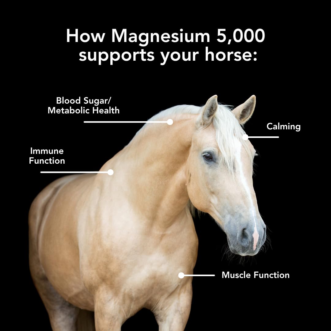 MVP Magnesium 5000: porciones medidas para dosificación fácil del caballo.